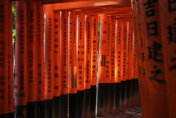 Shrine of 1,000 torii gates. Kyoto, Japan