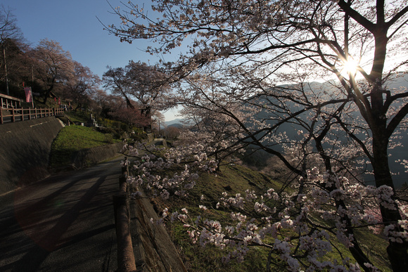 Hyotan Park in Spring, Agawa, Japan